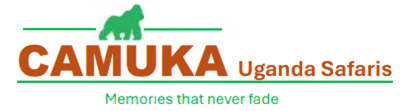 Uganda Safaris Pacakages